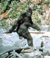 Bigfoot profile picture