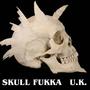 SKULLFUKKA profile picture