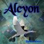 Alcyon profile picture