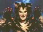 Mr Mistoffelees profile picture