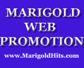 Marigold Web Promotion profile picture