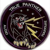 True Panther Sounds profile picture