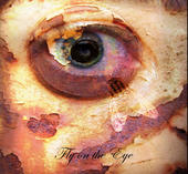 Fly on the Eye profile picture