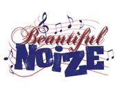 beautifulnoize profile picture