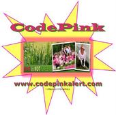 CodePink UNH-Durham profile picture