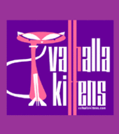 Valhalla Kittens profile picture