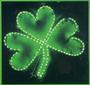 ShakinShamrocks profile picture