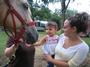 Wooden Horse Farm's EQUICIZER profile picture