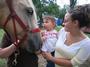 Wooden Horse Farm's EQUICIZER profile picture