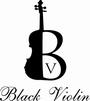 Black Violin profile picture