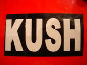 kush profile picture