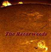 The Razorweeds profile picture