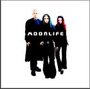 Moonlife profile picture