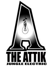 THE ATTIK-JUNGLE ELECTRIC IN STORES NOW profile picture