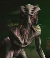 species8472_