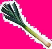 Flying Leeks profile picture