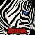 ZEBRA profile picture