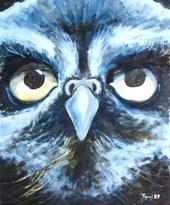 The Owl profile picture