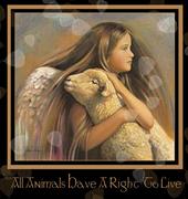 Animal Rights In Spiritualism profile picture