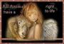 Animal Rights In Spiritualism profile picture