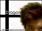 Dragon profile picture