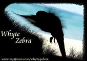 Whyte Zebra - Supporting Live Music profile picture