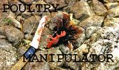 poultry manipulator profile picture