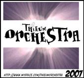 THIEUM Orchestra profile picture