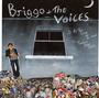 Briggo and The Voices profile picture