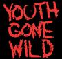 Youth Gone Wild profile picture