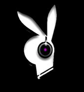 The White Rabbits profile picture