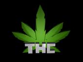 THCPRODUCCIONES profile picture