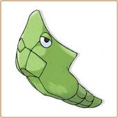 Metapod profile picture