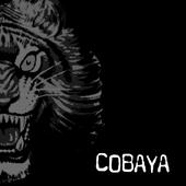 Cobaya profile picture