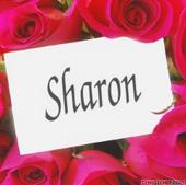 Sharon profile picture