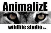 animalizewildlifestudio