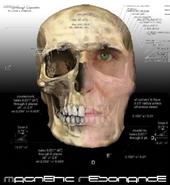 Magnetic Resonance profile picture