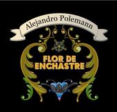 Alejandro Polemann + Flor de enchastre profile picture