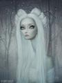 Lori Earley profile picture