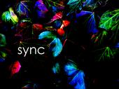 Sync profile picture