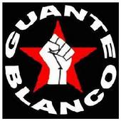 Guante * Blanco profile picture