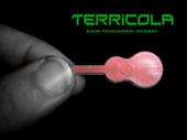 Terricola profile picture