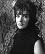 Suzanne Pleshette profile picture