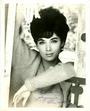 Suzanne Pleshette profile picture