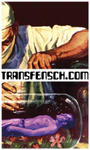 TRANSFENSCH profile picture