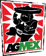 Air Guitar Mexico profile picture