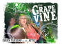 The Grapevine profile picture