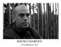 david j harvey profile picture