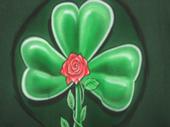 Shamrockrose profile picture