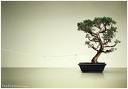 Bonsai Big Band profile picture